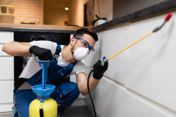 Best Flea Control Services  in Galesburg, IL