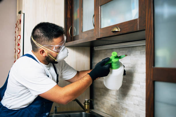 Reliable Galesburg, IL Pest Control Solutions