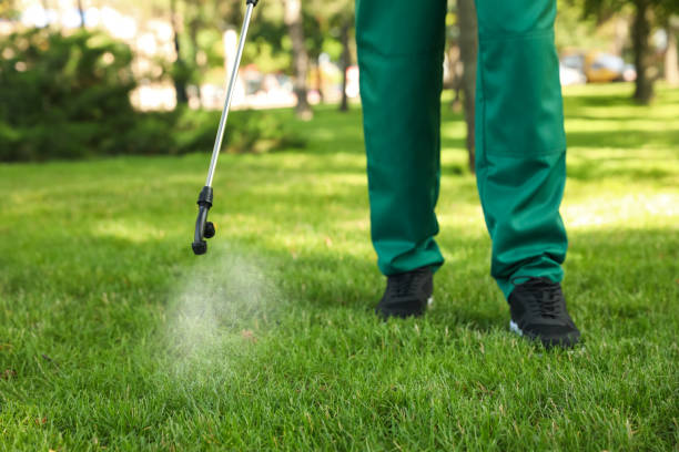 Best Best Pest Control Companies  in Galesburg, IL
