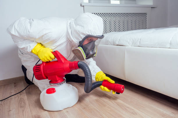 Best Affordable Pest Control Services  in Galesburg, IL
