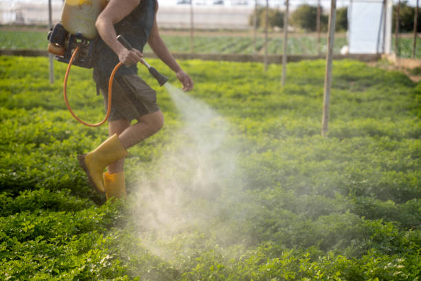 Best Commercial Pest Control Services  in Galesburg, IL
