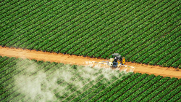 Best Pest Removal Services  in Galesburg, IL