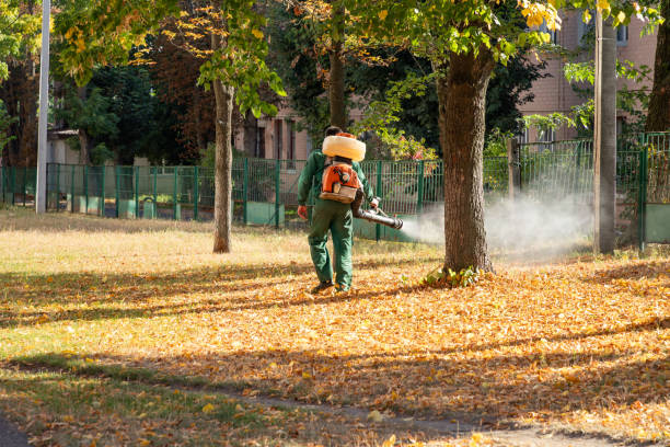 Best Wasp Removal Services  in Galesburg, IL